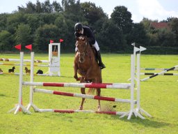 IMG_0773_web